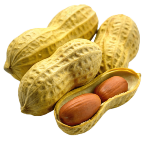 vỏ đậu phộng